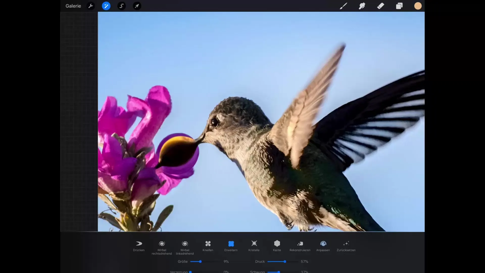 Liquify in Procreate – Master digital image manipulation Liquify in Procreate – Master Digital Image Manipulation