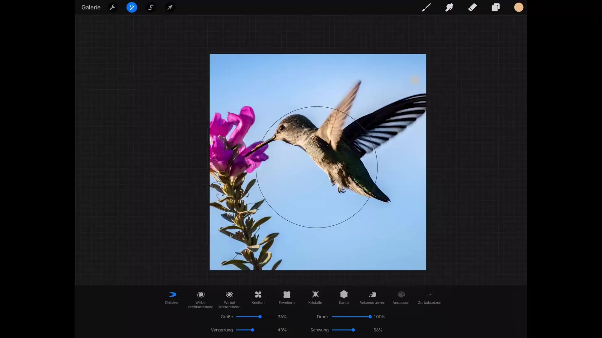 Liquify in Procreate – Master Digital Image Manipulation Liquify in Procreate – Master Digital Image Manipulation