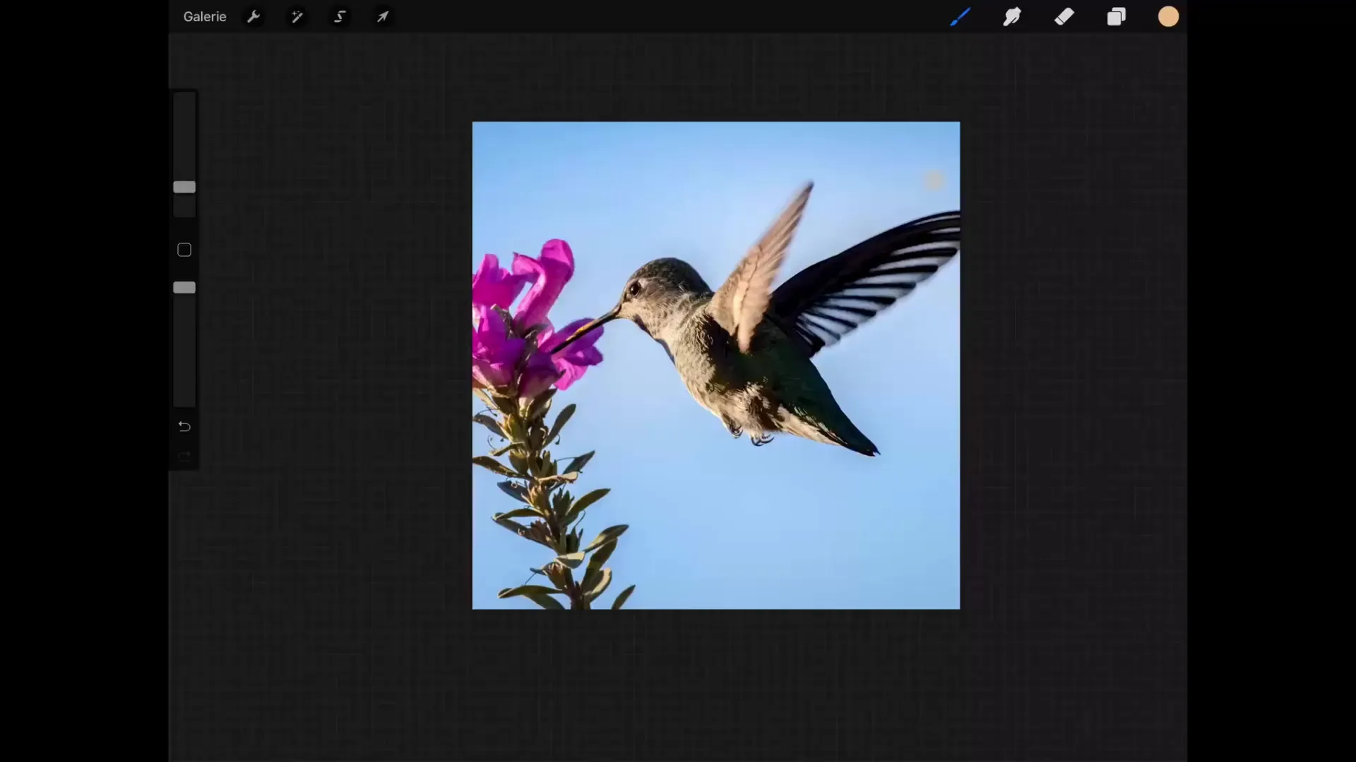 Liquify in Procreate – Master Digital Image Manipulation Liquify in Procreate – Master Digital Image Manipulation