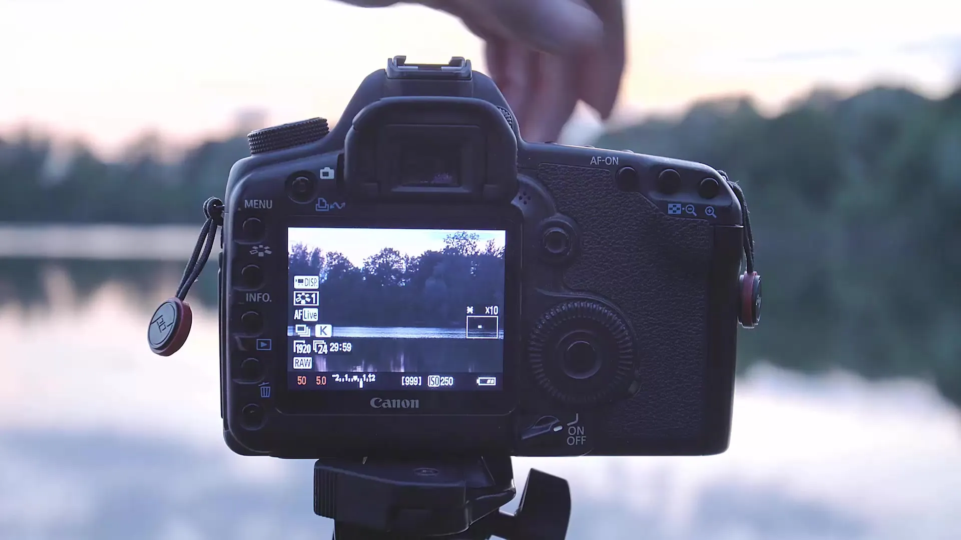Stăpânește focalizarea manuală – Învățarea fotografierii precise Stăpânește focalizarea manuală – Învățați să fotografați cu precizie