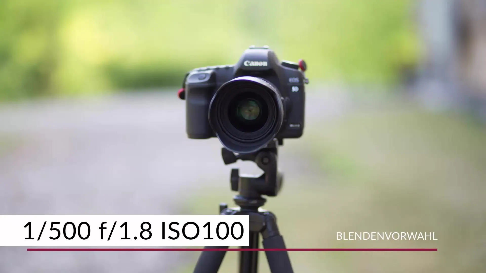 Stăpânește prioritatea diafragmei – o introducere ușoară în fotografie