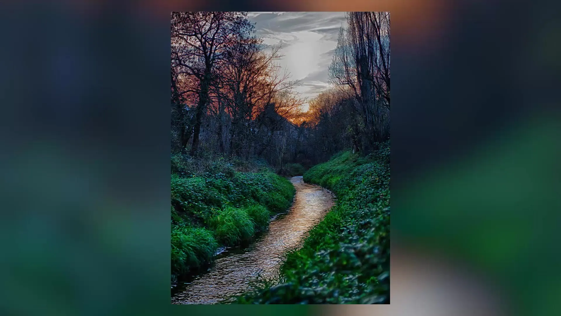 Învățarea fotografiei: format vertical sau format orizontal? Învățarea fotografiei: Format vertical sau format orizontal?