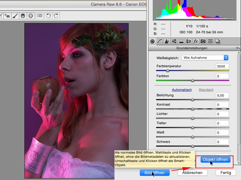 Looks & Styles mit Photoshop - Looks im Raw-Converter Looks & Styles mit Photoshop - Looks im Raw-Converter