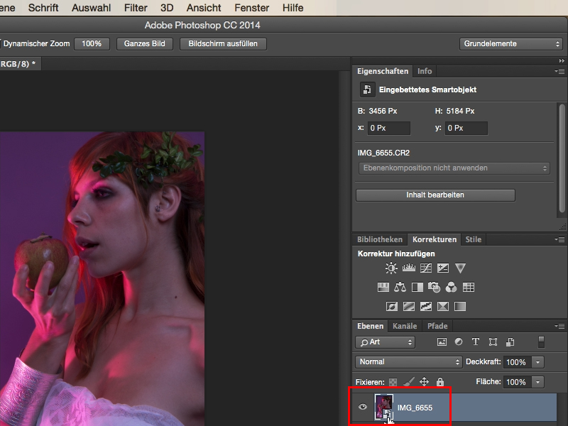 Looks & Styles mit Photoshop - Looks im Raw-Converter Looks & Styles mit Photoshop - Looks im Raw-Converter