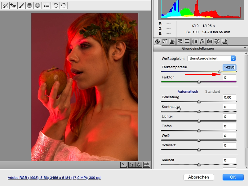 Looks & Styles mit Photoshop - Looks im Raw-Converter Looks & Styles mit Photoshop - Looks im Raw-Converter
