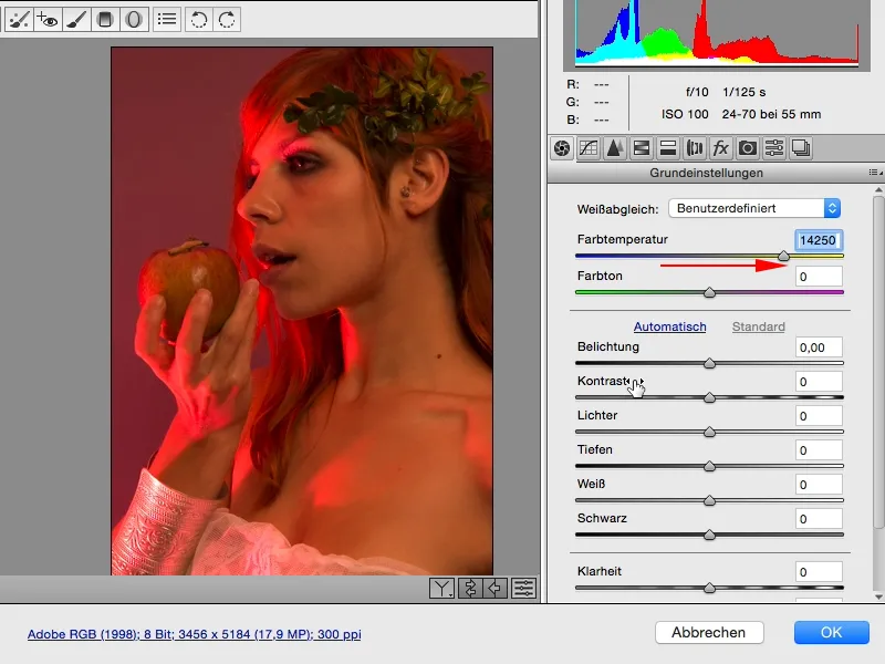Izskati un stili ar Photoshop - Izskati Raw konvertorā.