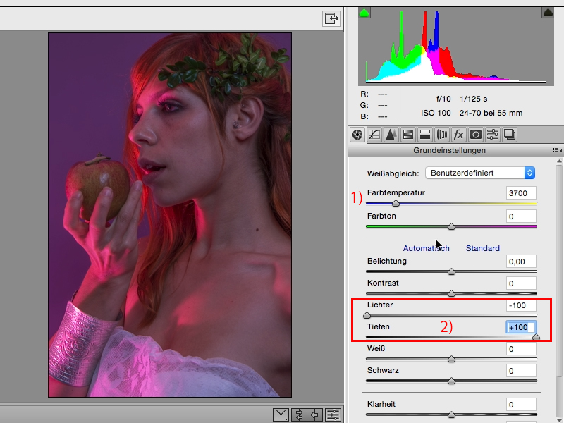Looks & Styles mit Photoshop - Looks im Raw-Converter Looks & Styles mit Photoshop - Looks im Raw-Converter