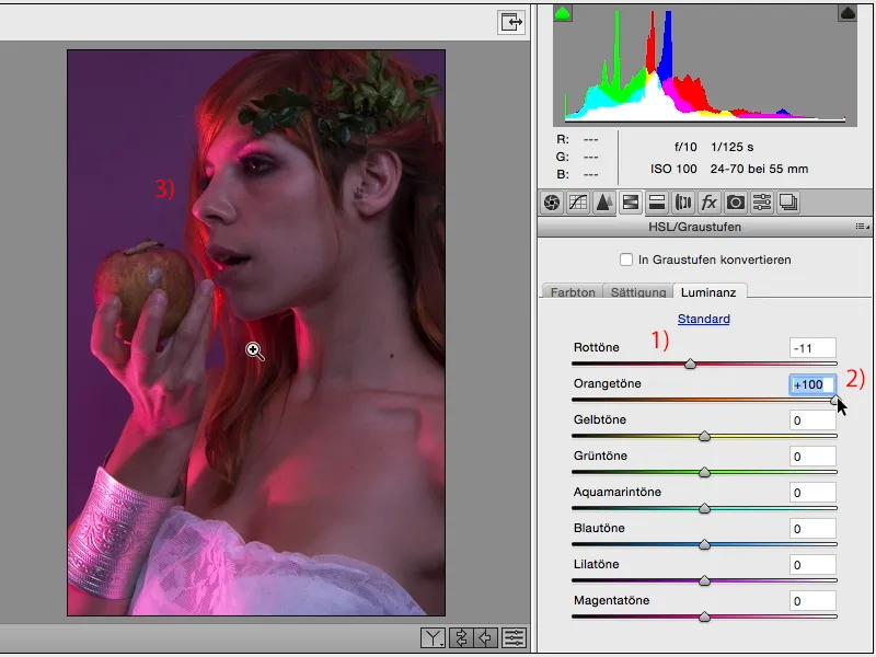 Izskati un stili ar Photoshop - Izskati raw konvertorā