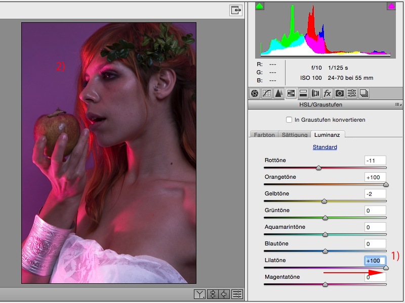 Looks & Styles mit Photoshop - Looks im Raw-Converter Looks & Styles mit Photoshop - Looks im Raw-Converter