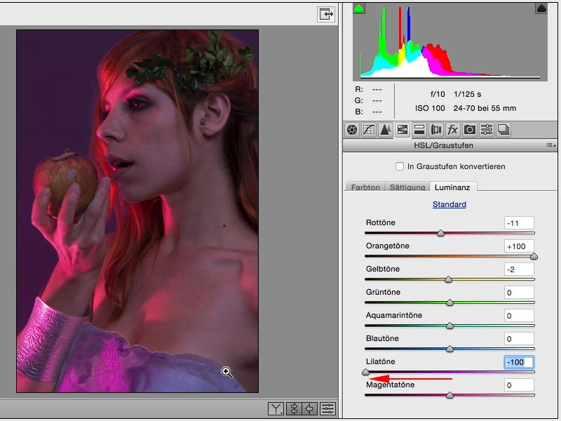 Looks & Styles mit Photoshop - Looks im Raw-Converter Looks & Styles mit Photoshop - Looks im Raw-Converter