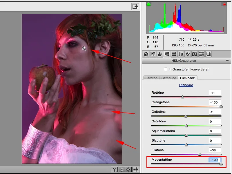 Izskati un stili ar Photoshop - Izskati RAW konvertorā