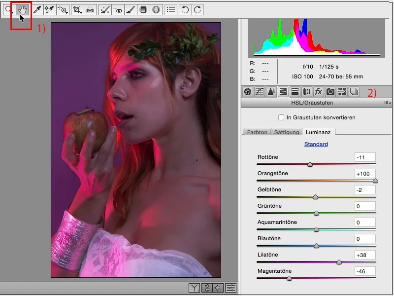 Izskati un stili ar Photoshop - Izskati Raw konverterī.