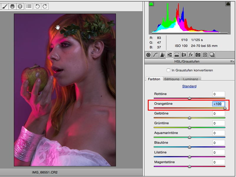 Looks & Styles mit Photoshop - Looks im Raw-Converter Looks & Styles mit Photoshop - Looks im Raw-Converter