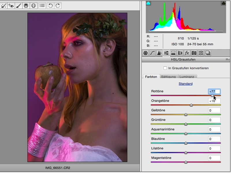 Looks & Styles mit Photoshop - Looks im Raw-Converter Looks & Styles mit Photoshop - Looks im Raw-Converter
