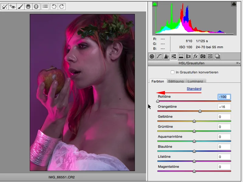 Izskati un stili ar Photoshop - Izskati Raw pārveidotājā.