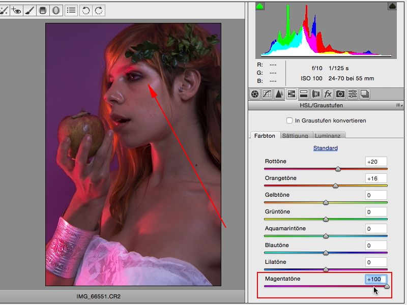 Looks & Styles mit Photoshop - Looks im Raw-Converter Looks & Styles mit Photoshop - Looks im Raw-Converter
