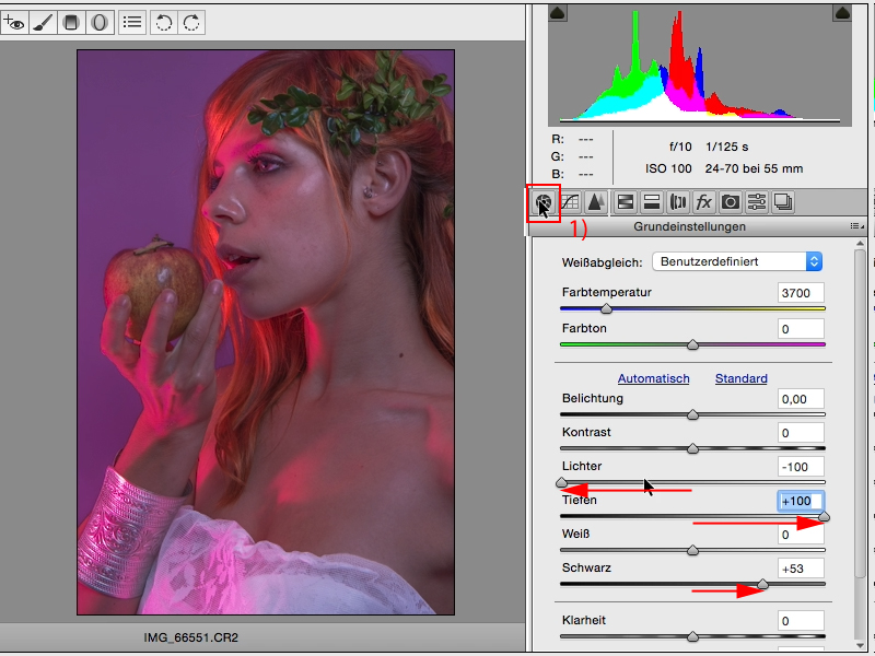 Looks & Styles mit Photoshop - Looks im Raw-Converter Looks & Styles mit Photoshop - Looks im Raw-Converter