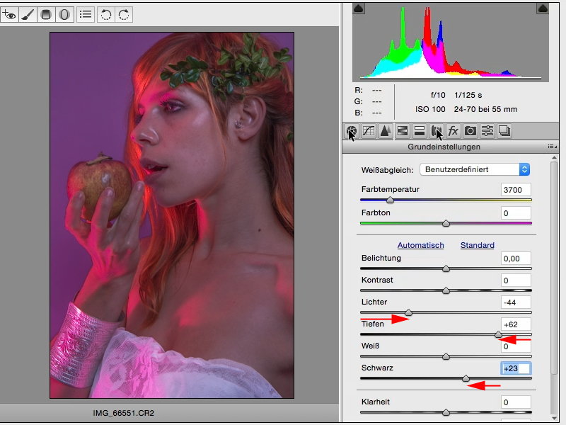 Looks & Styles mit Photoshop - Looks im Raw-Converter Looks & Styles mit Photoshop - Looks im Raw-Converter