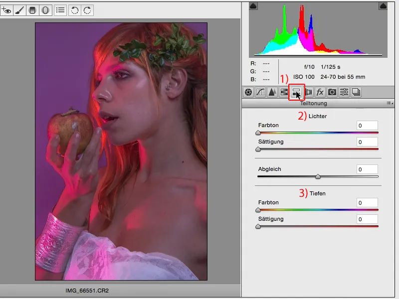 Izskati un stili ar Photoshop - Izskati Raw konverterī.