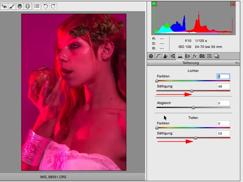 Izskati un stili ar Photoshopu - Izskati Raw konvertorā