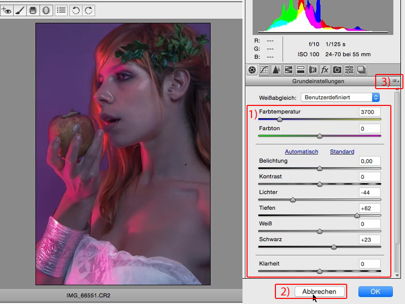 Looks & Styles mit Photoshop - Looks im Raw-Converter Looks & Styles mit Photoshop - Looks im Raw-Converter