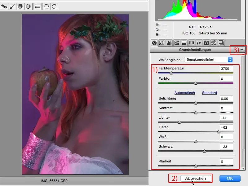 Izskati un stili ar Photoshop - Izskati Raw konvertorā.