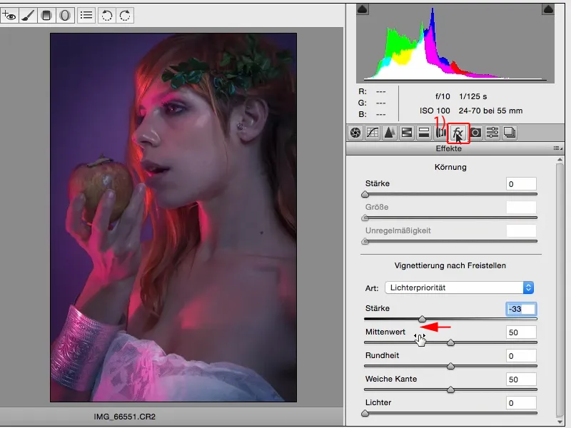 Izskati un stili ar Photoshopu - Izskati Raw-konvertorā