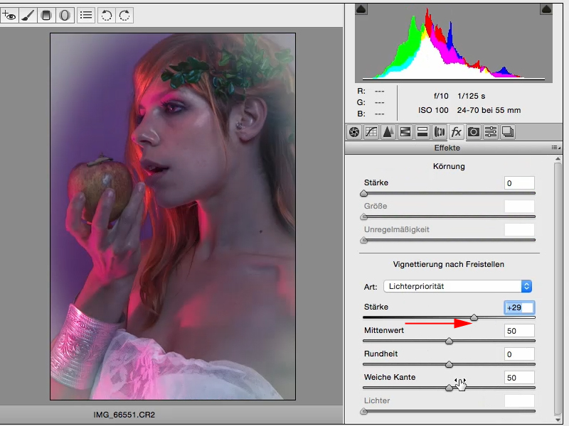 Looks & Styles mit Photoshop - Looks im Raw-Converter Looks & Styles mit Photoshop - Looks im Raw-Converter