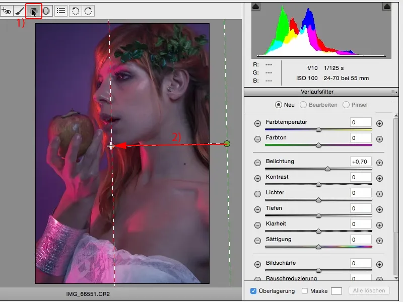 Ieškokite ir stiliai su „Photoshop“ - „looks“ „Raw“ konvertuotoj atrodo. Stilių ir išvaizdą su Photoshop - stiliai „Raw“ konverteryje