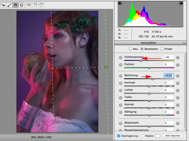 Izskati un stili ar Photoshop - Izskati raw konvertorā