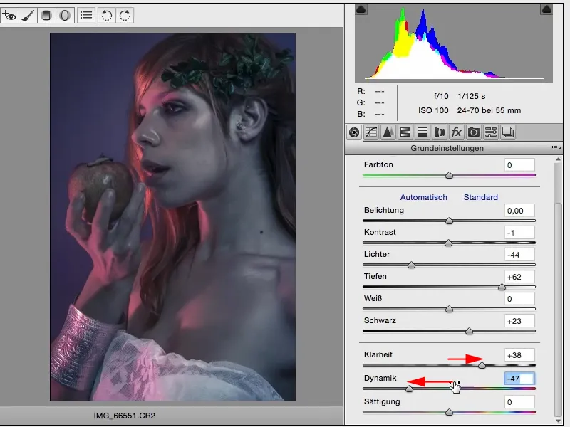 Izskati un stili ar Photoshop - Izskati raw konvertorā