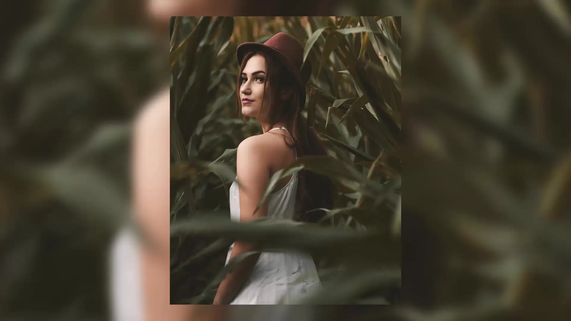 Using natural frames in photography Using natural frames in photography