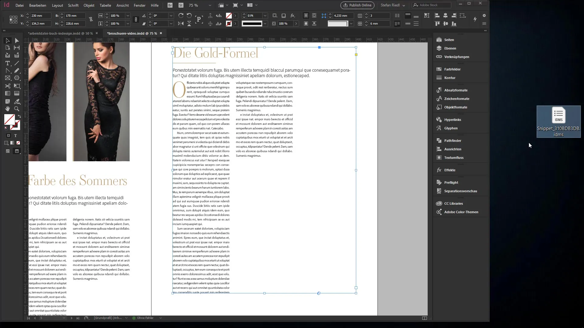 Columnas formatear de manera efectiva en InDesign Formato efectivo de columnas en InDesign
