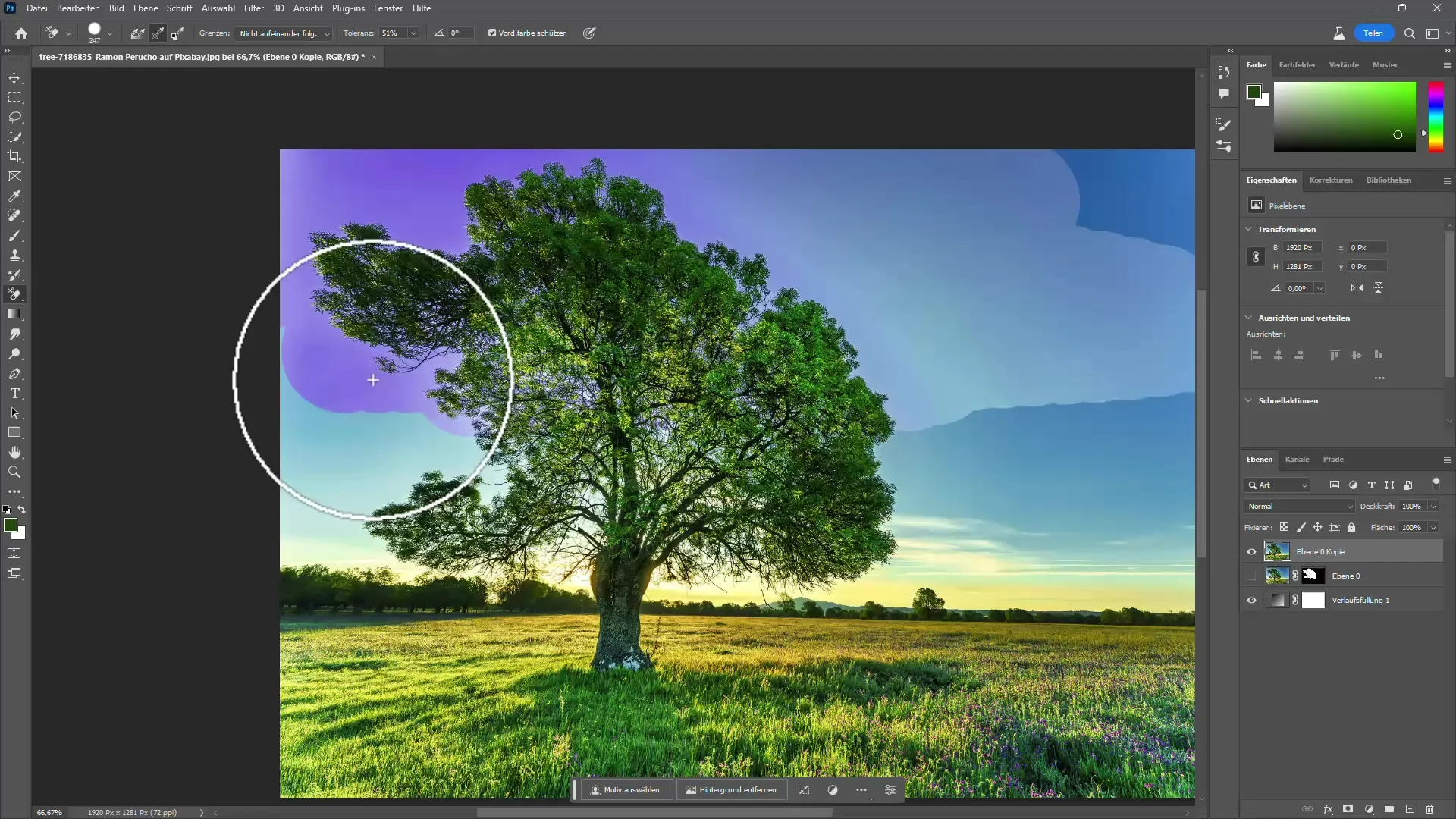 Estrarre alberi in Photoshop con e senza intelligenza artificiale