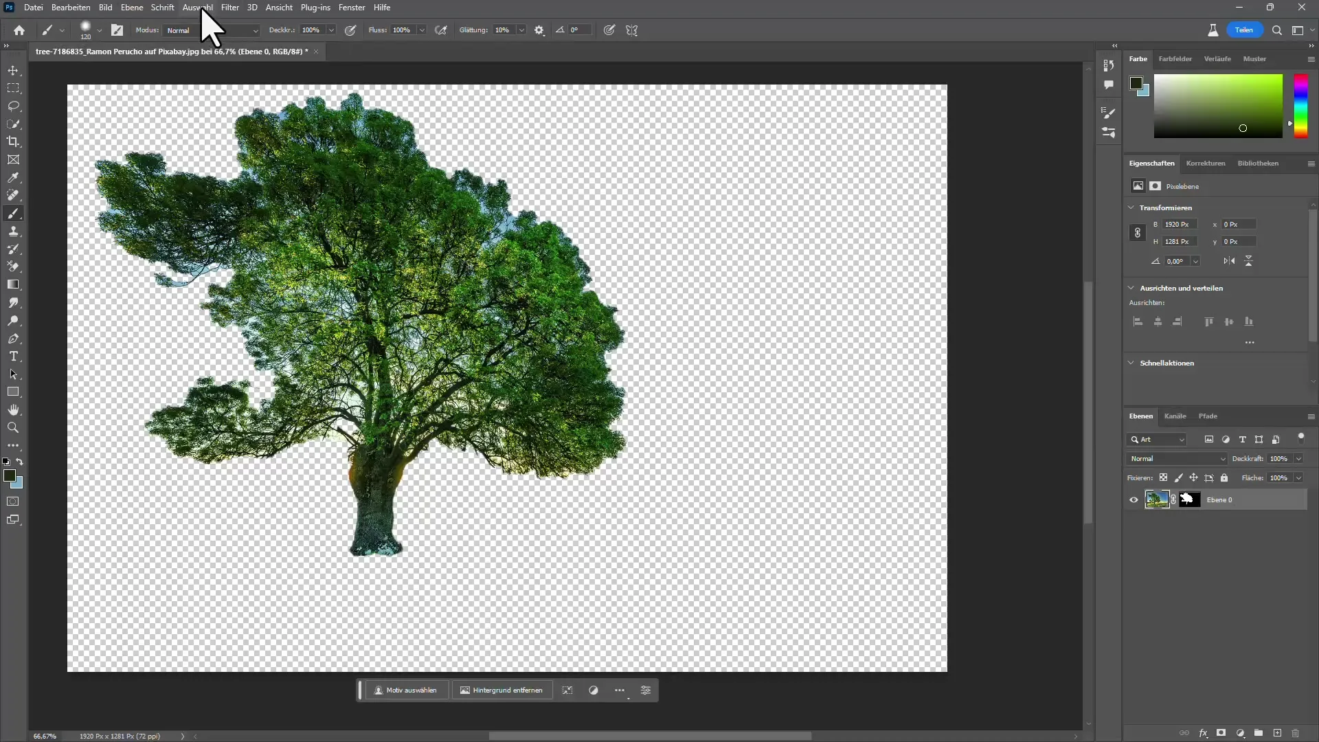 Ritaglio degli alberi in Photoshop con e senza intelligenza artificiale