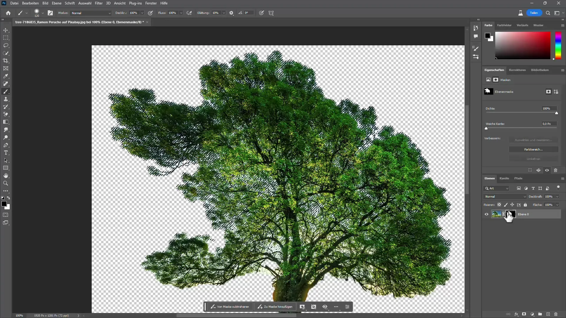 Estrarre alberi in Photoshop con e senza Intelligenza Artificiale