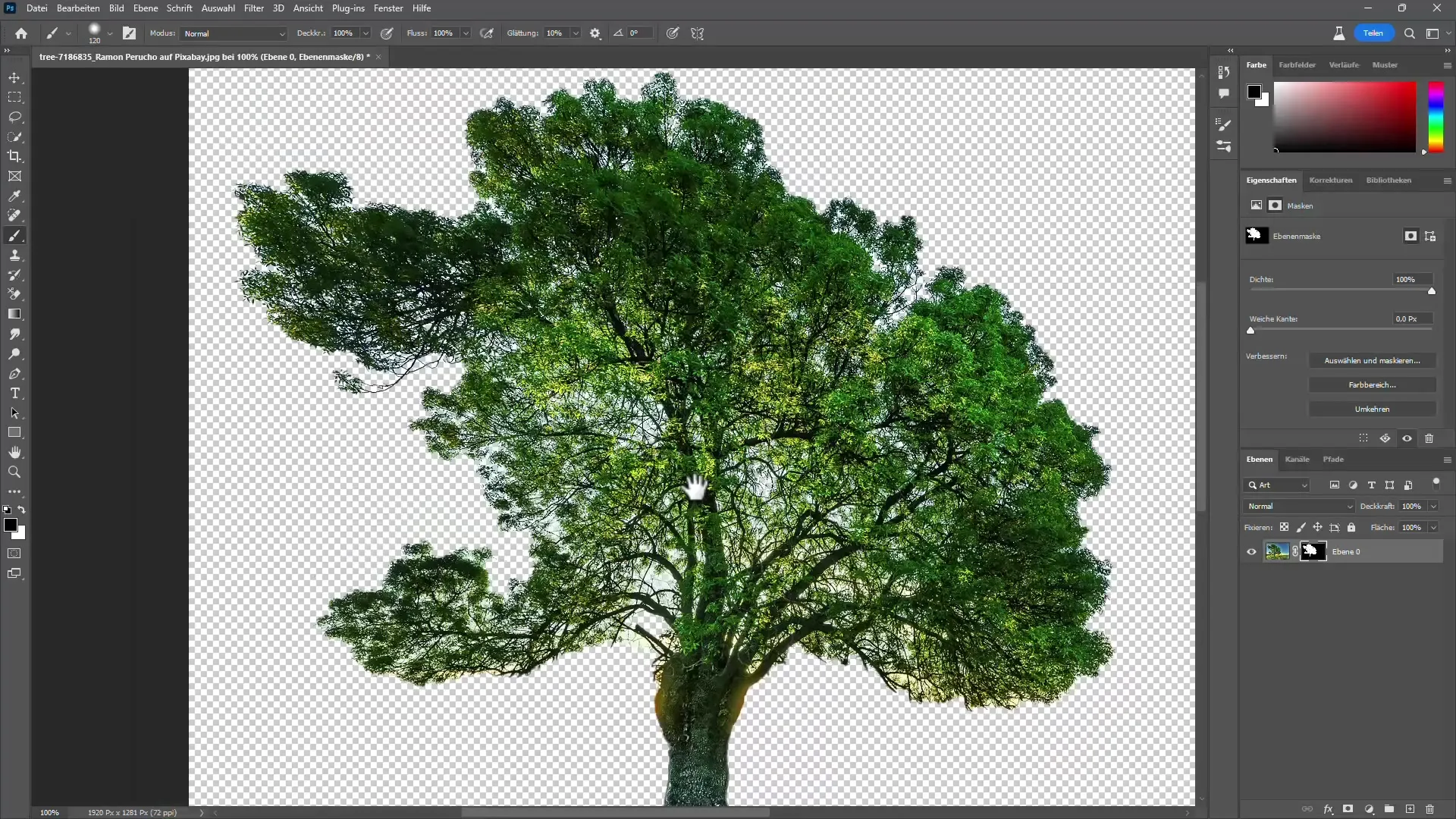 Estrarre gli alberi in Photoshop con e senza intelligenza artificiale