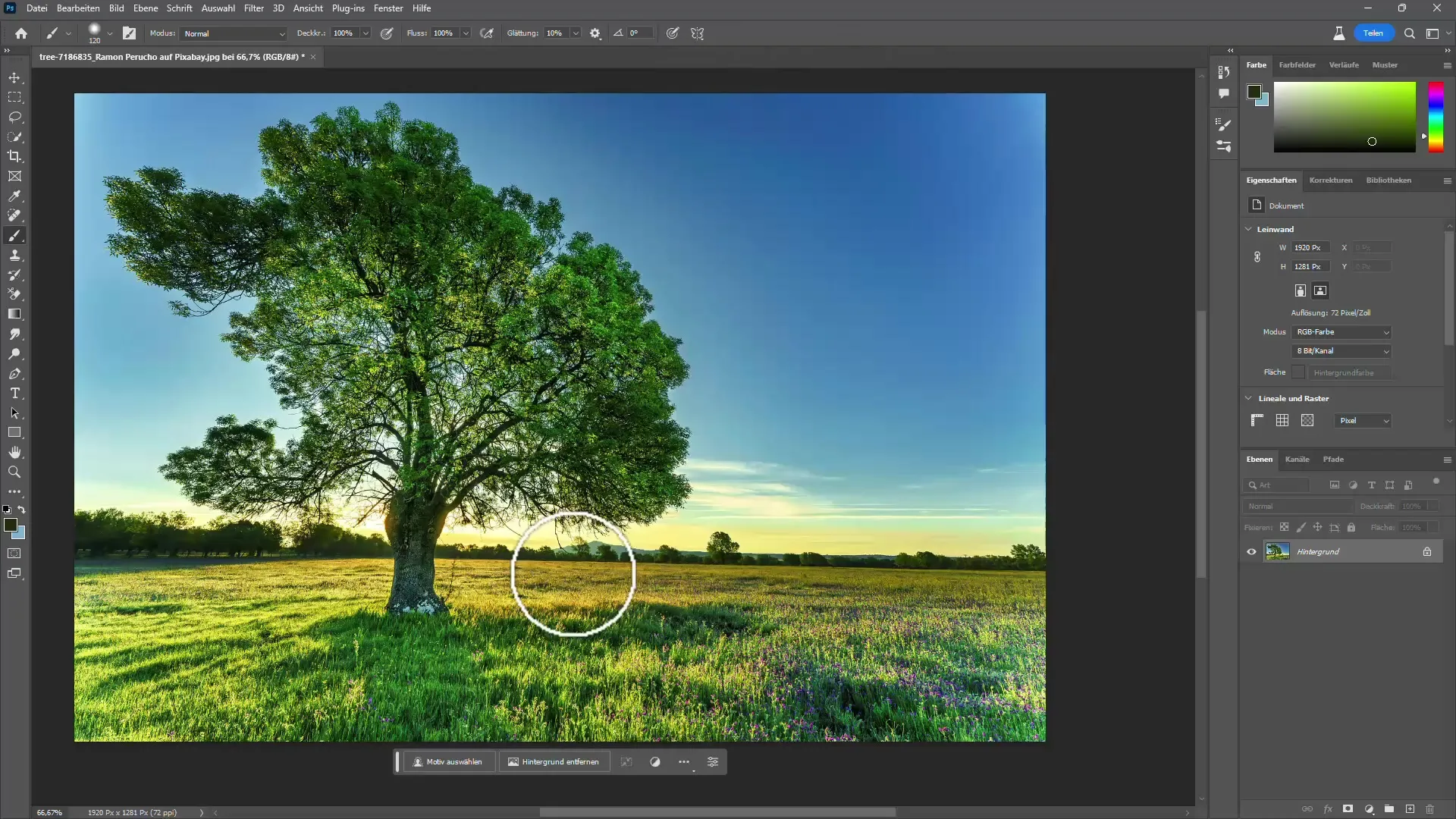 Ritaglio degli alberi in Photoshop con e senza AI