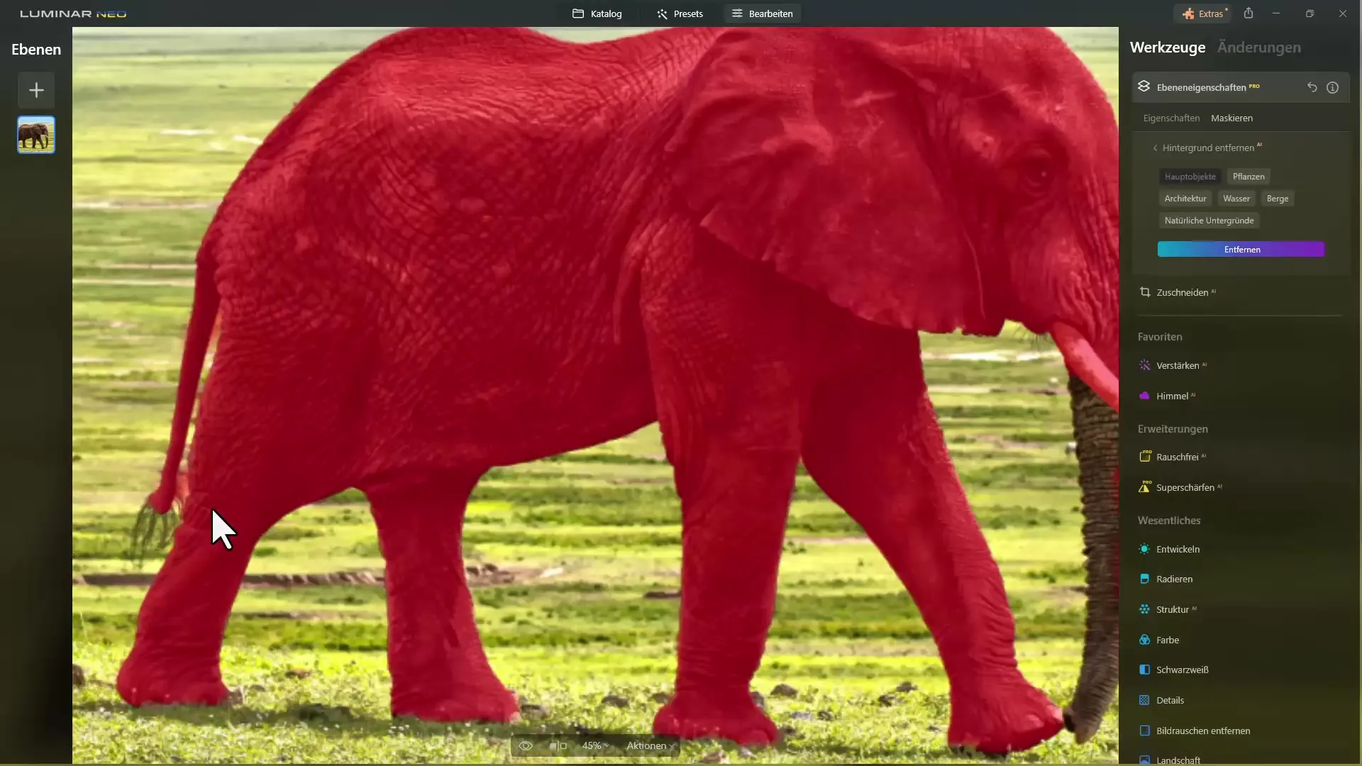 Efficiente selezione di immagini con programmi di intelligenza artificiale e Photoshop 