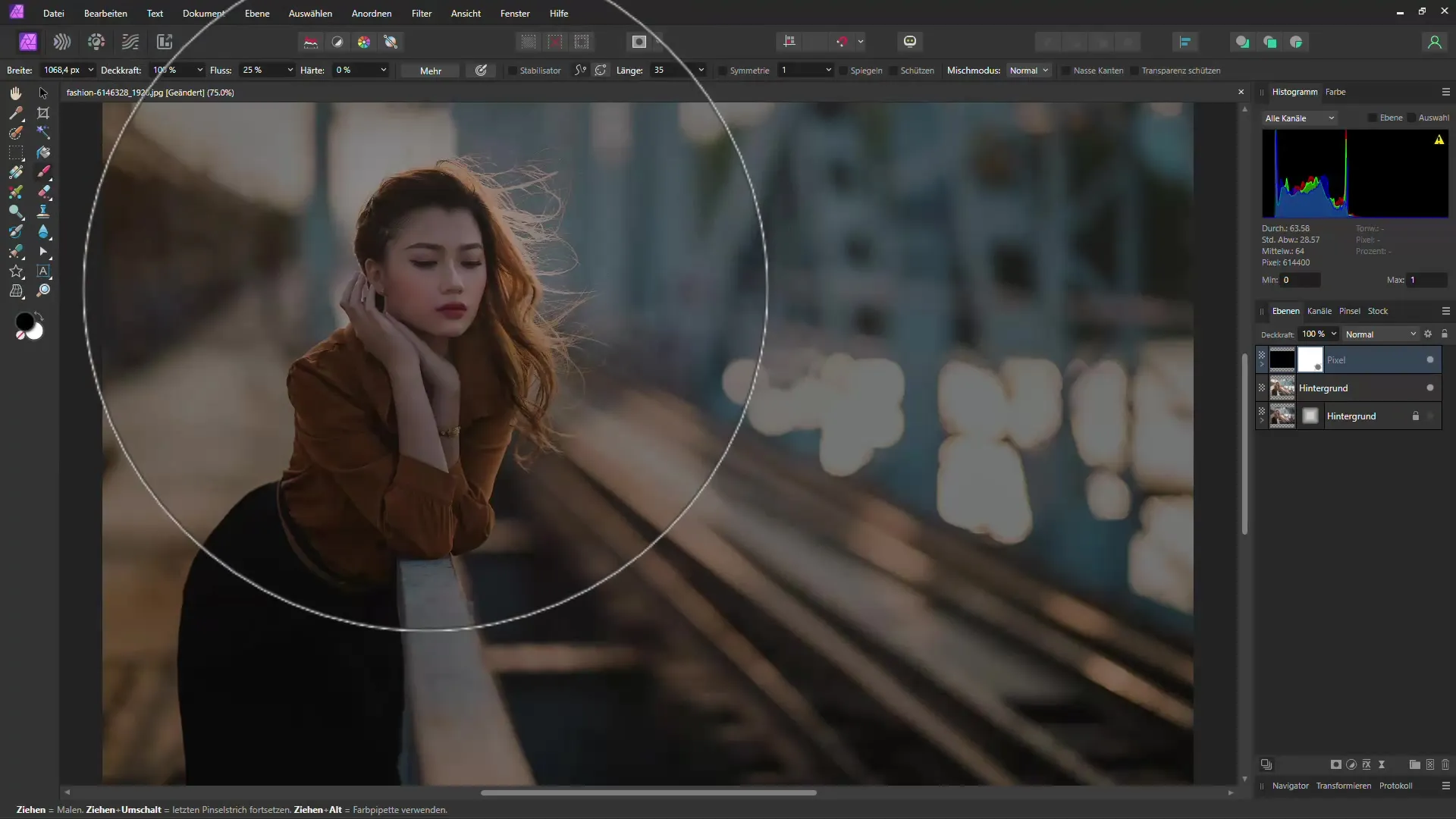 Affinity Photo: Menambahkan vinet pintar - Panduan langkah demi langkah Menambahkan vignette secara cerdas di Affinity Photo - Panduan langkah demi langkah