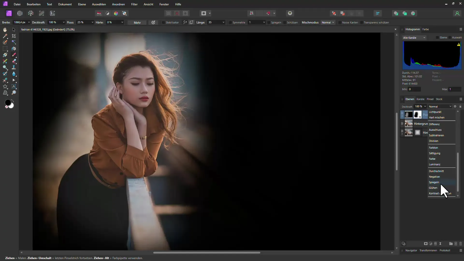 Affinity Photo: Menambahkan vinet pintar - Panduan langkah demi langkah Menambahkan vignette secara cerdas menggunakan Affinity Photo - Panduan langkah demi langkah