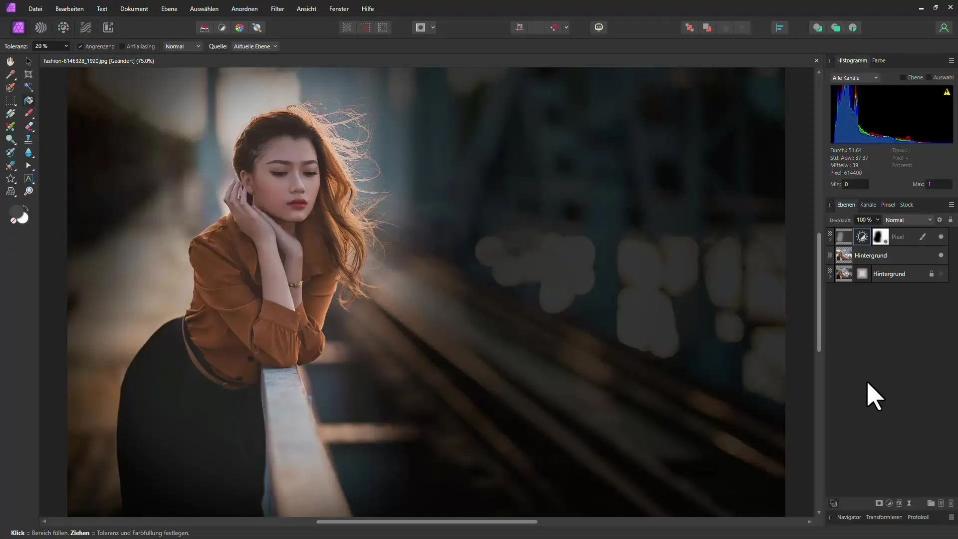 Menambahkan vignette secara cerdas di Affinity Photo - Panduan langkah demi langkah Menambahkan Vignette dengan Cerdas di Affinity Photo - Panduan Langkah demi Langkah