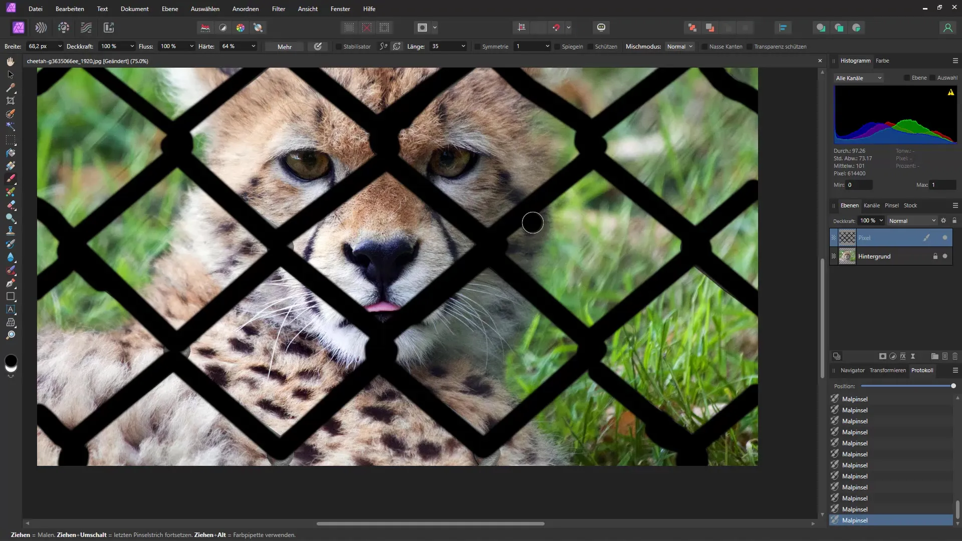 Objekte wie Gitter schnell und einfach entfernen – Eine Schritt-für-Schritt-Anleitung für Affinity Photo