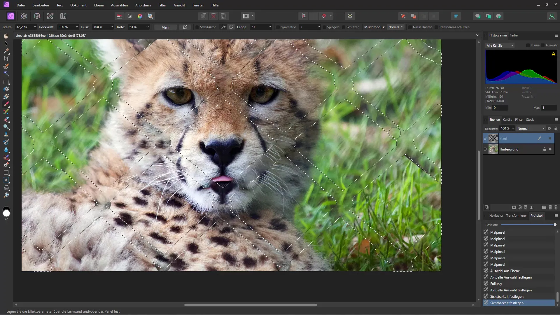 Objekte wie Gitter schnell und einfach entfernen – Eine Schritt-für-Schritt-Anleitung für Affinity Photo