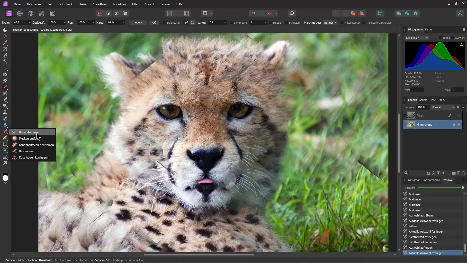 Objekte wie Gitter schnell und einfach entfernen – Eine Schritt-für-Schritt-Anleitung für Affinity Photo