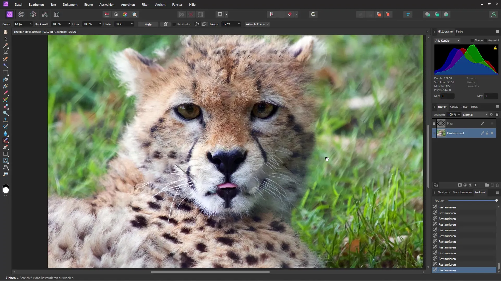 Objekte wie Gitter schnell und einfach entfernen – Eine Schritt-für-Schritt-Anleitung für Affinity Photo