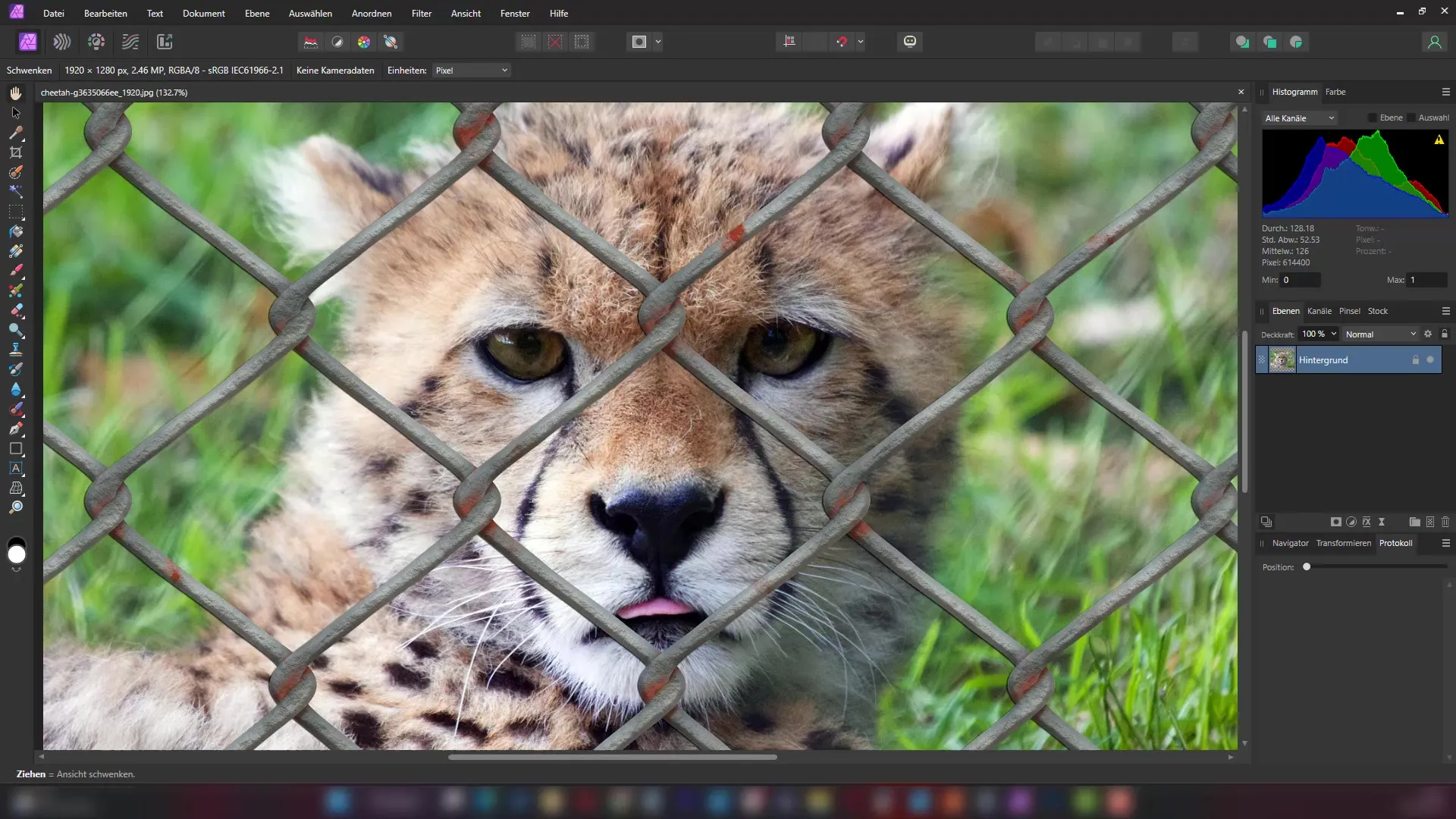 Objekte wie Gitter schnell und einfach entfernen – Eine Schritt-für-Schritt-Anleitung für Affinity Photo