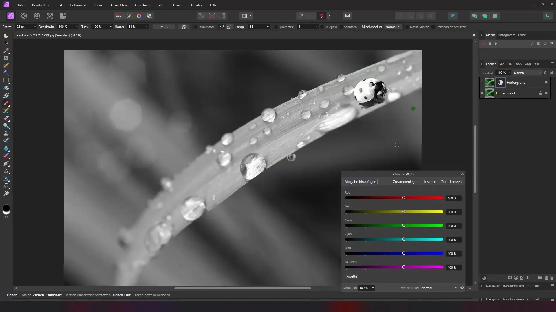 Effektiver Color Key-Effekt in Affinity Photo erstellen