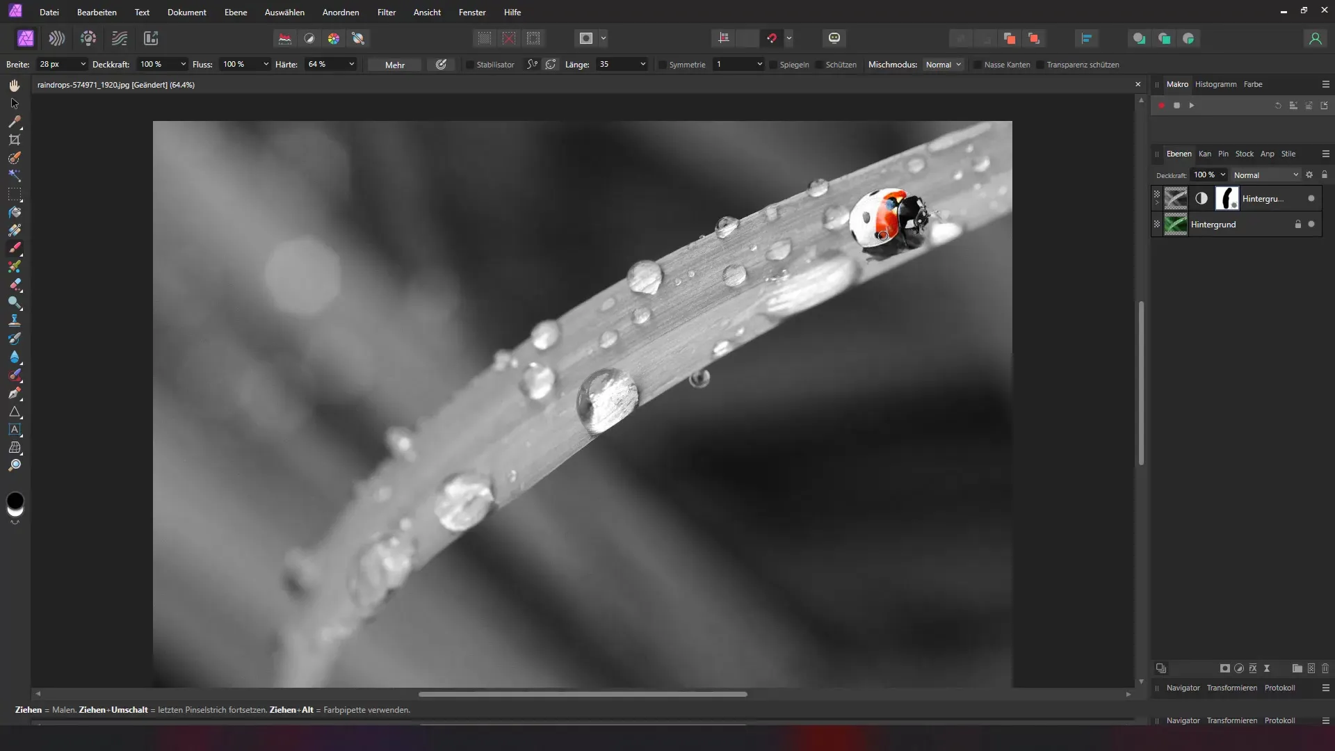 Effektiver Color Key-Effekt in Affinity Photo erstellen
