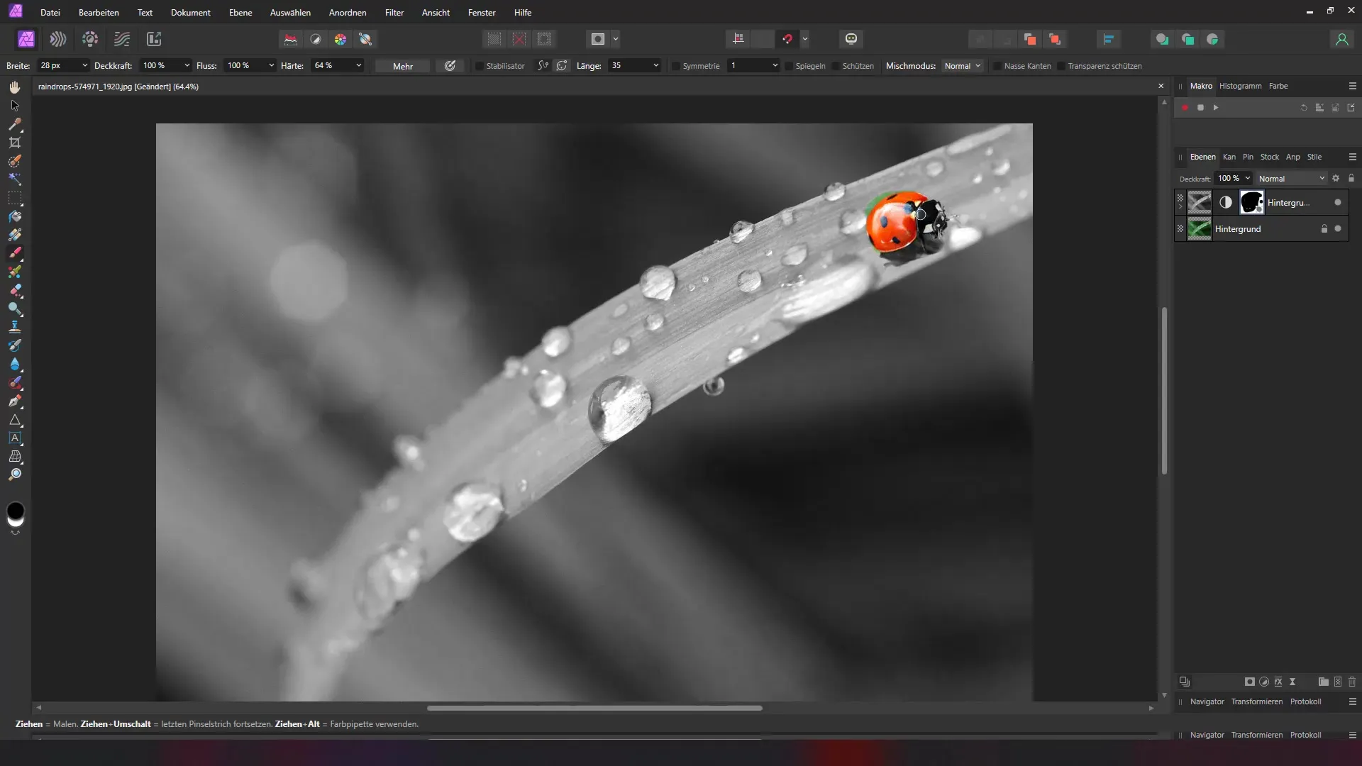 Effektiver Color Key-Effekt in Affinity Photo erstellen
